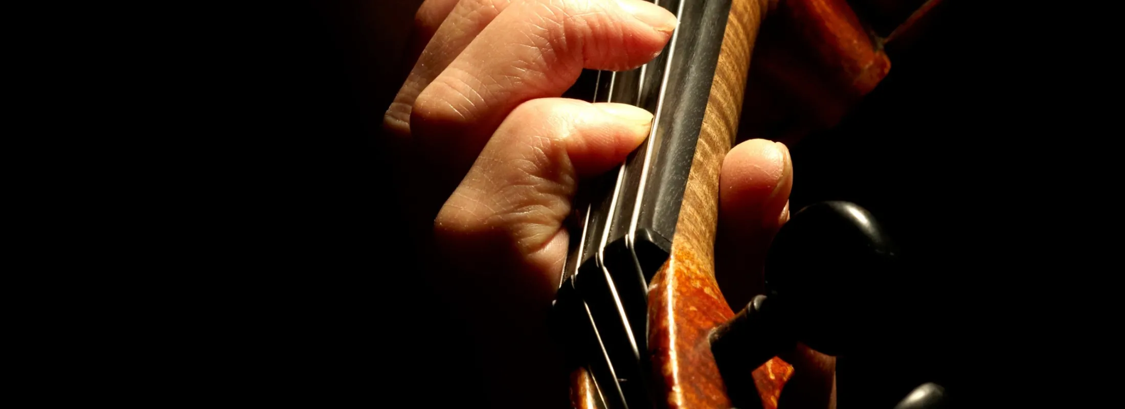 Violon