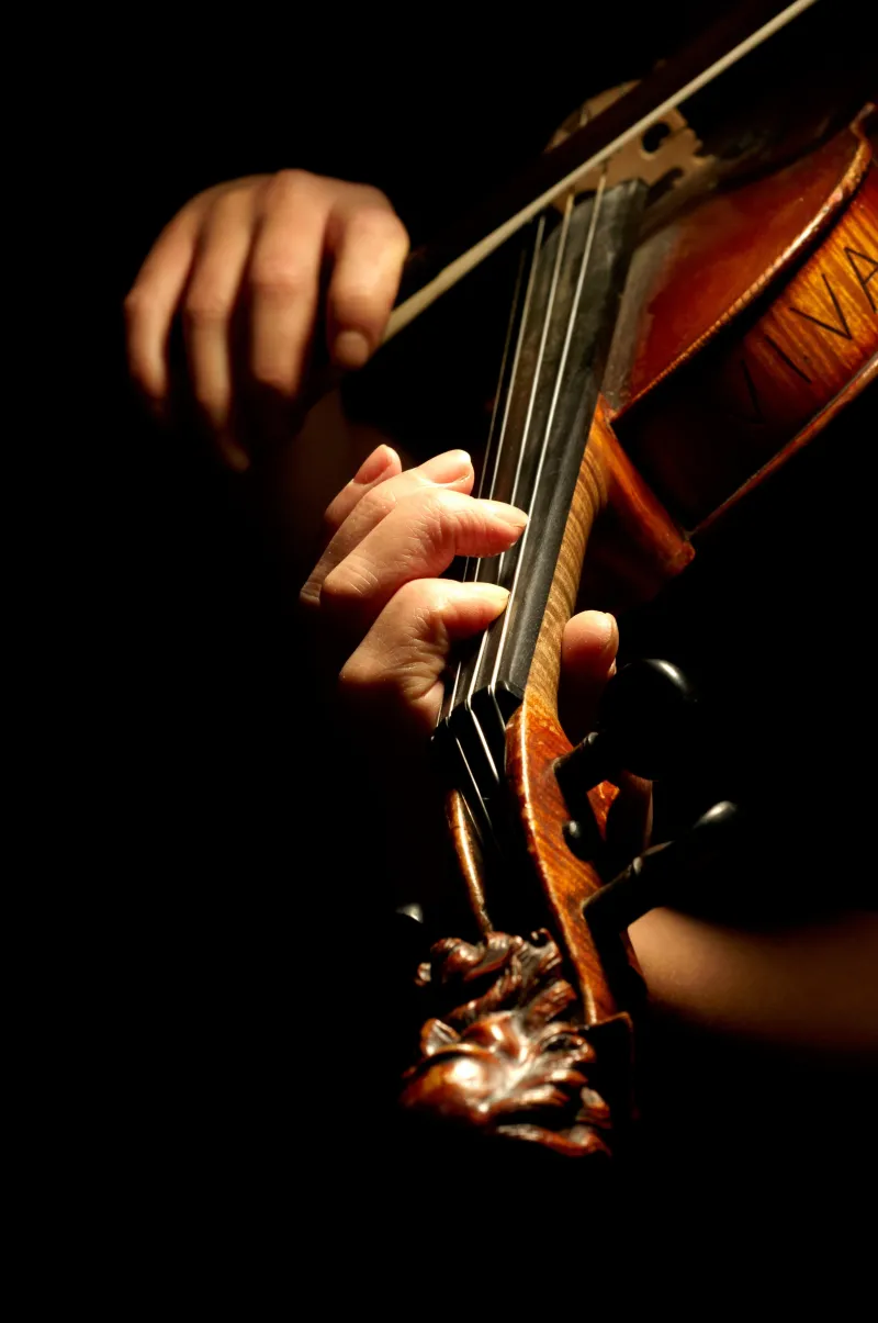 Violon
